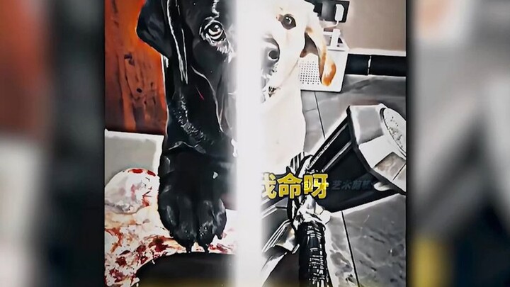 “Mảnh vụn của xã hội, niềm tự hào nhỏ bé của mẹ”