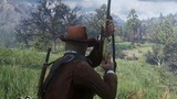 [Red Dead Redemption 2] Some very cool operations