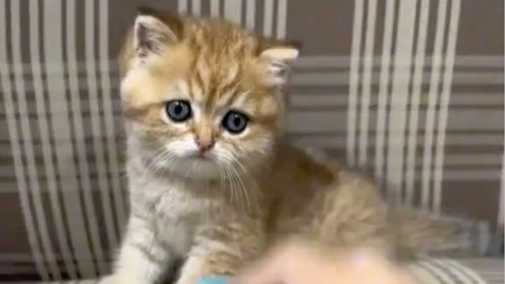 น่ารัก
