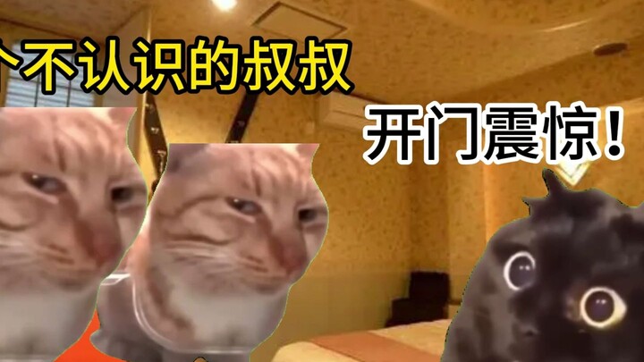 【Cat Meme】The Story of How My Cousin and I Got Arrested While Traveling in Dongguan