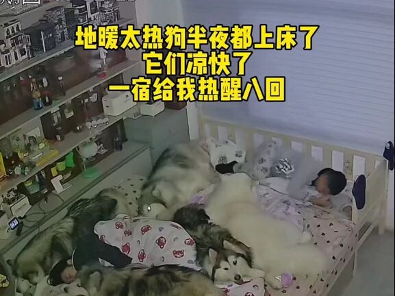 I should have known not to pay the heating bill.