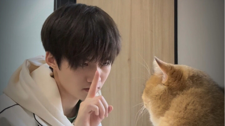 No way someone’s actually working a soul-crushing office job just to afford a cat, right? No way...