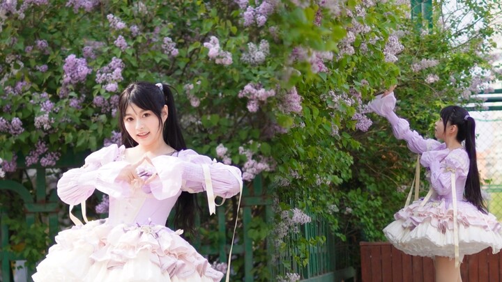 [Tang Xiaoguo] Wind and Promise｜The wind in Harbin smells like lilac! [Original Choreography]
