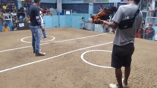 2hits champion San mateo arena🫡