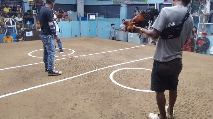 2hits champion San mateo arena🫡