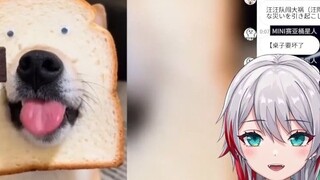 Mỹ nhân Nhật Bản xem "Super Cute...Dog Things" mà dễ thương chết mất