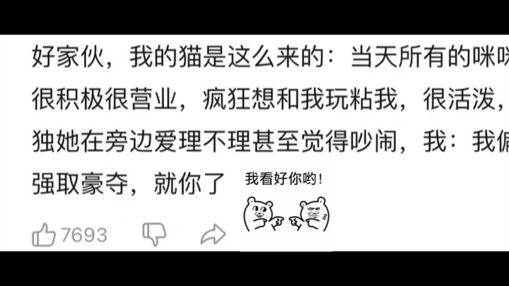 Lý do chọn tôi giữa bao nhiêu mèo con thế này #Ai cũng đáng yêu quá đi (◍•ᴗ•◍)✧*