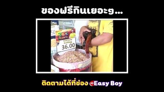 ของฟรีกินเยอะๆ #short #easyboy