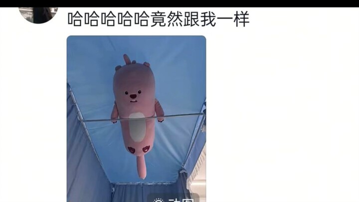 Terlalu banyak boneka, harus ditaruh di mana