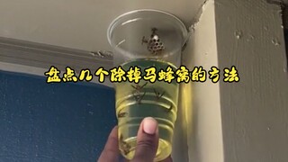 盘点几个除掉马蜂窝的方法 #马蜂窝 #汽油除掉马蜂窝 #火喷马蜂窝 #开水浇马蜂窝 #冷知识