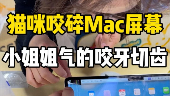 สาวน้อยทำหน้าจอ Mac ของเธอแตกเพราะแมวกัด เดิมทีมีแค่รอยฟันไม่กี่รอย พอใช้นิ้วออกแรงกดปุ๊บ ก็แตกเป็นเ