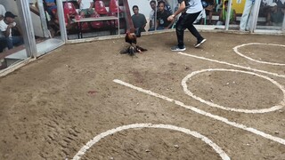 Na bulag naka chamba pa