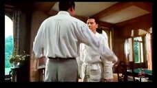 The Return of The God of Gamblers (1994)