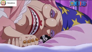 Tội nghiệp con ruồi quá... #onepiece #vuahaitac #shooltime