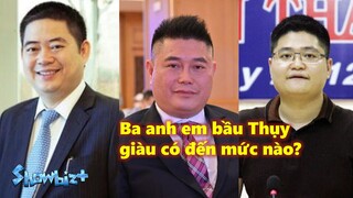 Ba anh em bầu Thụy giàu có đến mức nào?