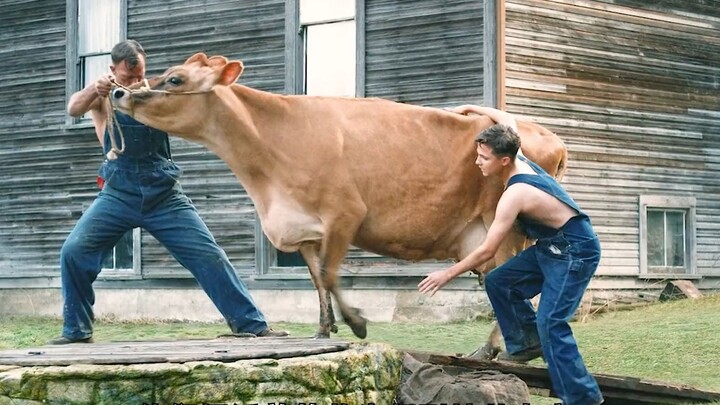 To seize 4,000 mu of fertile farmland, he colluded with his son to brutally murder his wife.