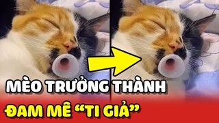 Bé mèo ĐAM MÊ BÚ TI MẸ khiến sen phải mua TI GIẢ thay thế 😂 | Yêu Lu