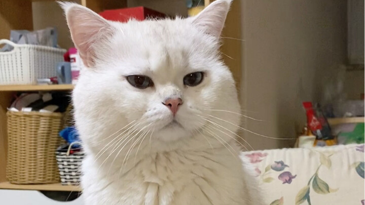 ฮั่น: ฉันไม่มีความสุขเพราะอะไร แกไม่รู้หรือไง?