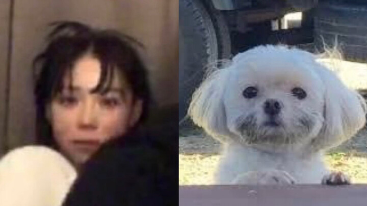 “Bạn nhìn cho rõ đi, tôi chính là nó”