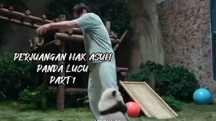 PERJUANGAN HAK ASUH PANDA PART 1