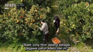 Coffee Friends Ep 07 Sub Indo