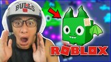 Sa INYO nalang ang 'HUGE DRAGON PETS' exclusive PLUSHIES ko! sa ROBLOX PET SIMULATOR X