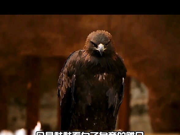 ไม่ผิดจริงๆ ที่เป็นหัวหน้าโจร แม้แต่ลุงของตัวเองก็ยังกล้าลงมือฆ่าได้อย่างโหดเหี้ยม