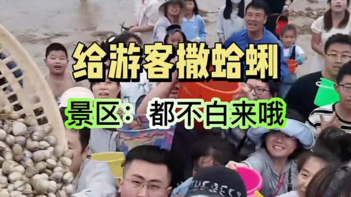 Sợ du khách đi bắt hải sản về tay trắng, khu du lịch nghe lời khuyên liền rải thẳng sò, giá trị cảm 