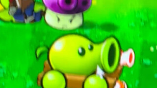 Why are you shooting at me?