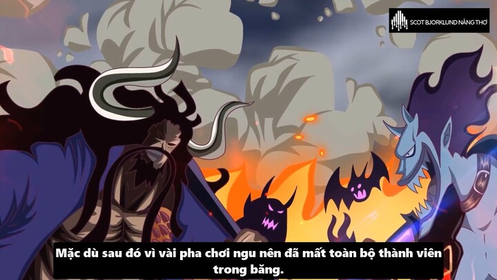 Scot Bjorklund nàng thơ - Review -  Ai Có Khả Năng Đánh Bại Kaido Phần 2 #anime #schooltime