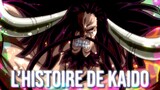 TOUTE L'HISTOIRE DE KAIDO RÉSUMÉE - ONE PIECE