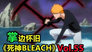 织姬被砍！神秘的月岛秀九郎-【掌】边怀旧《死神BLEACH》经典回顾第55期