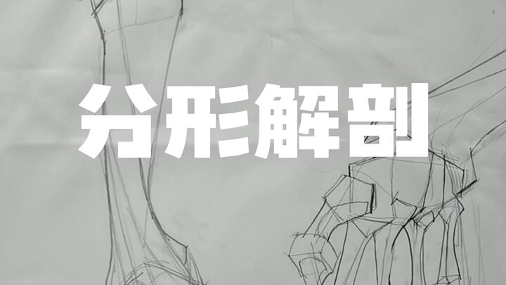 “The Flowing Beauty of Bones in Sketch Anatomy”