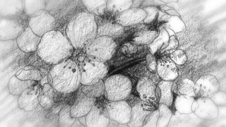 [Vietsub] 10cm Tình Yêu Tập 4 - Itsudatte Bokura no Koi wa 10cm Datta