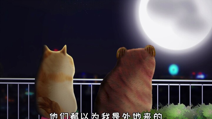 في الحقيقة، أنا من نشأ في هذه القرية.