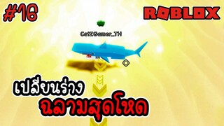 เล่นเป็นปลาฉลามสุดโหด เปลี่ยนร่างเอาชีวิตรอด - Shark Evolution [ Roblox EP 16] [ CatZGamer