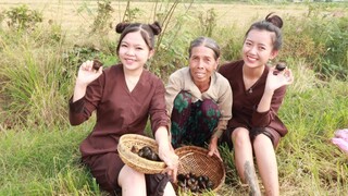 Ra Đồng Bắt Ốc Làm Món Ốc Nướng Tiêu Xanh ● Nắng Đẹp Miền Tây | NĐMT# 25
