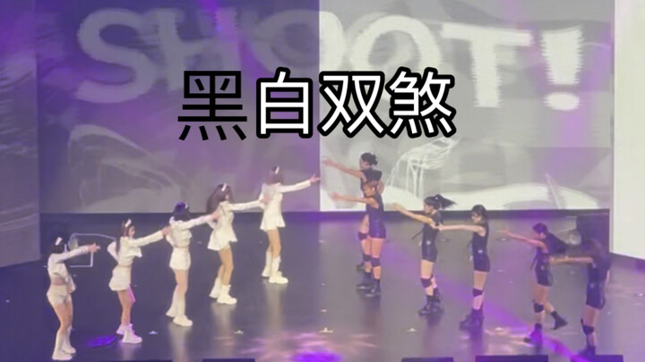 【อิตซี่】ชมเพลงรองสุดฮิตเพียงครั้งเดียว: SHOOT!