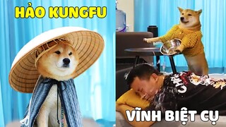Khi Nhà Bạn Nuôi Một HẢO CHÓ Có Kung Fu Sẽ NTN...? #2 🤣 Gâu Đần Official