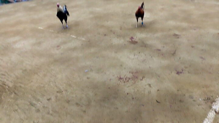 Chicken joy