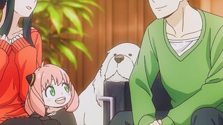 Joel's mother is still the cutest...!