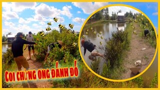 Dẫn Ngọc Và Ba Thằng Em Đi Bắt Ong Cười Đau Cả Ruột