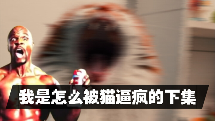 Bagaimana Aku Dibuat Gila oleh Kucing, Bagian 2