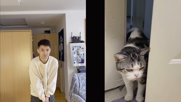 Think of a cat's tail as a hand and you'll be able to communicate without any problems