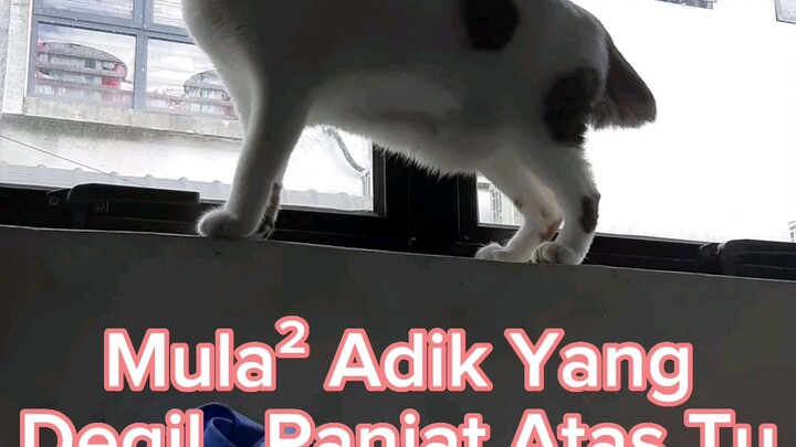 Patutnya Adik Ikut Akak Tapi Akak Ikut Adik 🤭😤😑😑