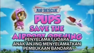 Paw Patrol Musim 11 Episode 6 Subtitle Indonesia