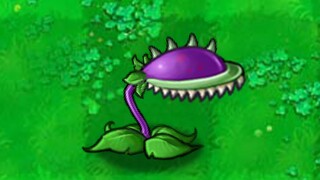 New Plant: Big Flower