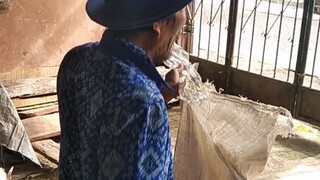 mang somad