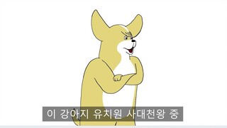 [短TOON 评论合集] 整顿纪律的吉娃娃