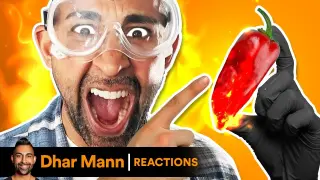 Try Not To Laugh EXTREME SPICE Challenge ðŸ”¥| Dhar Mann